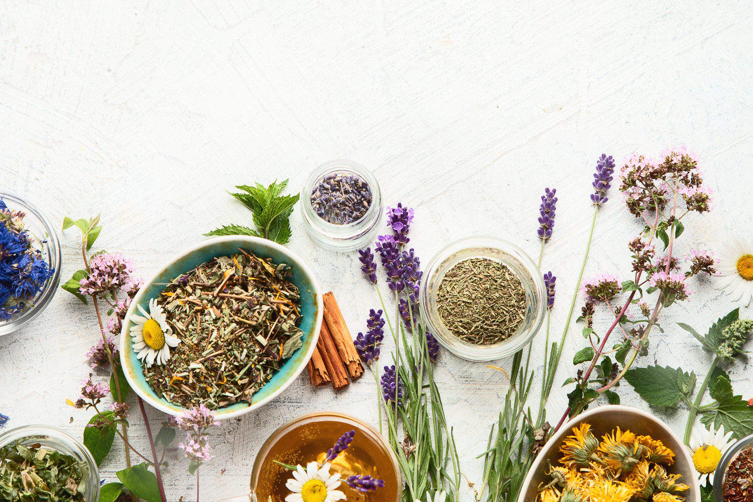Herbalism and its benefits